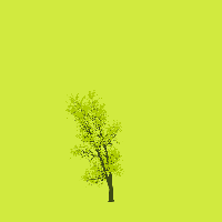 greenshift tree