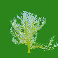greenshift tree