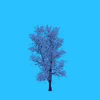 greenshift tree