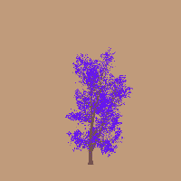 greenshift tree