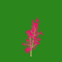 greenshift tree