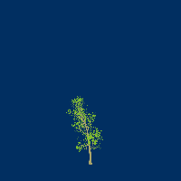 greenshift tree