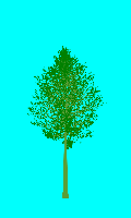 greenshift tree