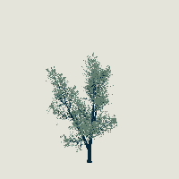 greenshift tree