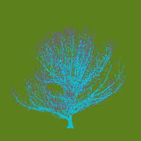 greenshift tree
