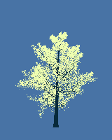 greenshift tree