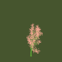 greenshift tree