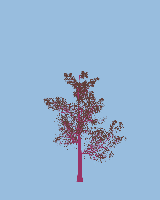 greenshift tree