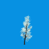 greenshift tree