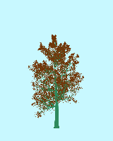 greenshift tree