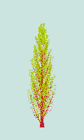 greenshift tree