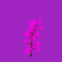 greenshift tree