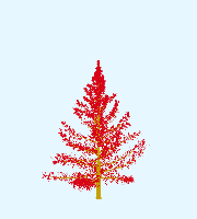 greenshift tree