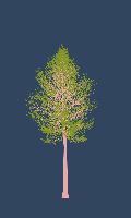 greenshift tree