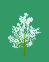 greenshift tree