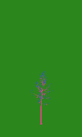 greenshift tree