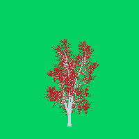 greenshift tree