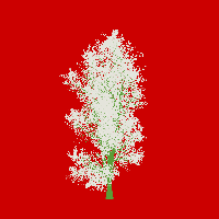 greenshift tree