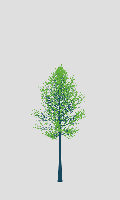 greenshift tree