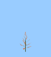 greenshift tree