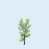 greenshift tree
