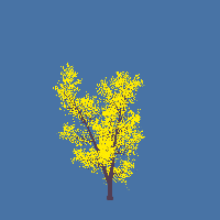 greenshift tree