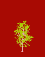 greenshift tree