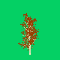 greenshift tree