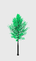 greenshift tree