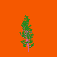 greenshift tree