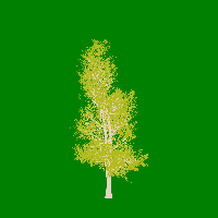 greenshift tree