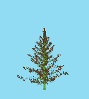 greenshift tree