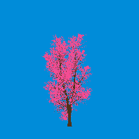greenshift tree