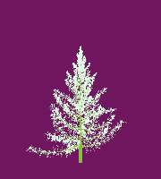 greenshift tree