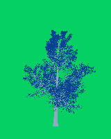 greenshift tree