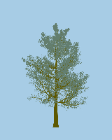greenshift tree