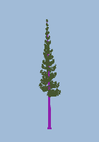 greenshift tree