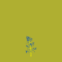 greenshift tree