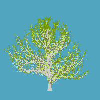 greenshift tree