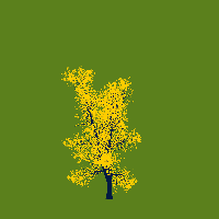 greenshift tree
