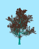 greenshift tree