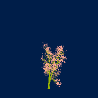 greenshift tree
