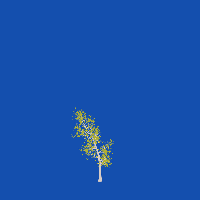 greenshift tree