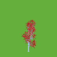 greenshift tree