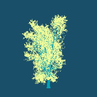 greenshift tree