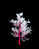 greenshift tree