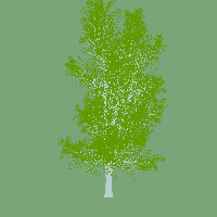 greenshift tree