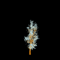 greenshift tree