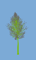 greenshift tree