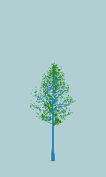 greenshift tree